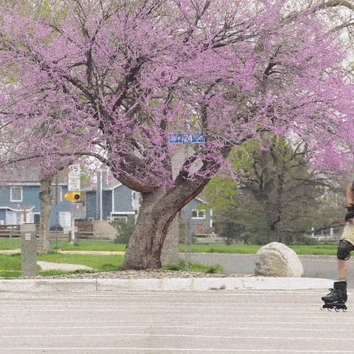 learning_the_barrel_roll_v1540p-ezgif.com-gif-maker