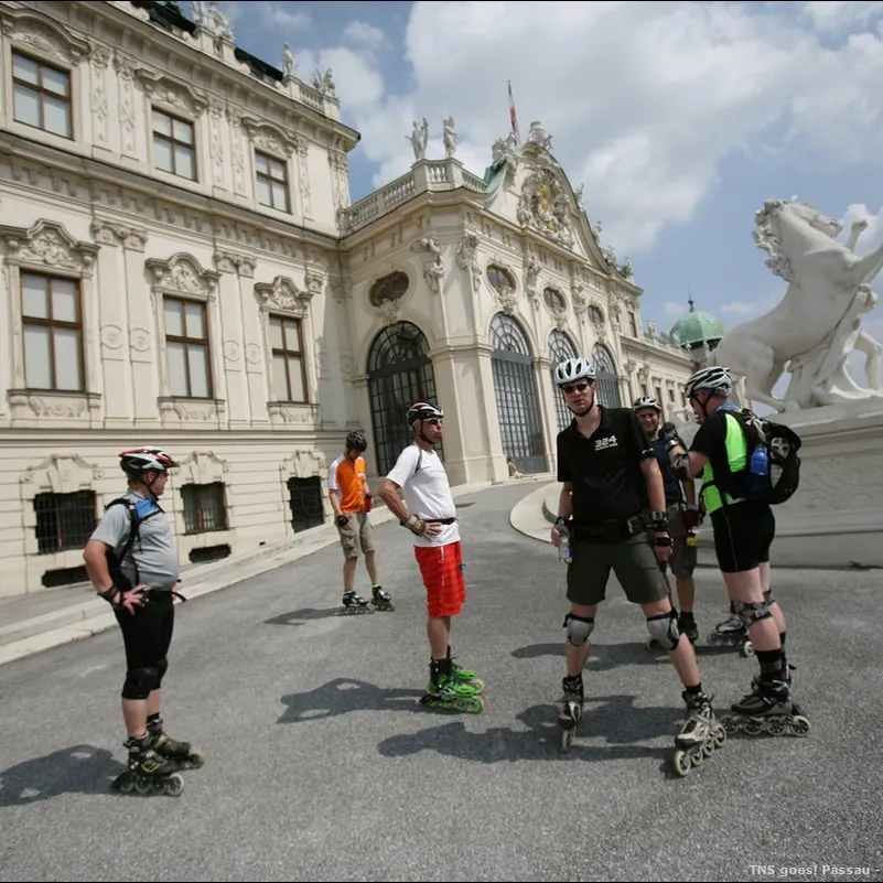Group of skaters in front of the Belvedere Palace